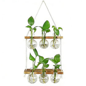 Renmxj plant lovers gift set packaged elegantly