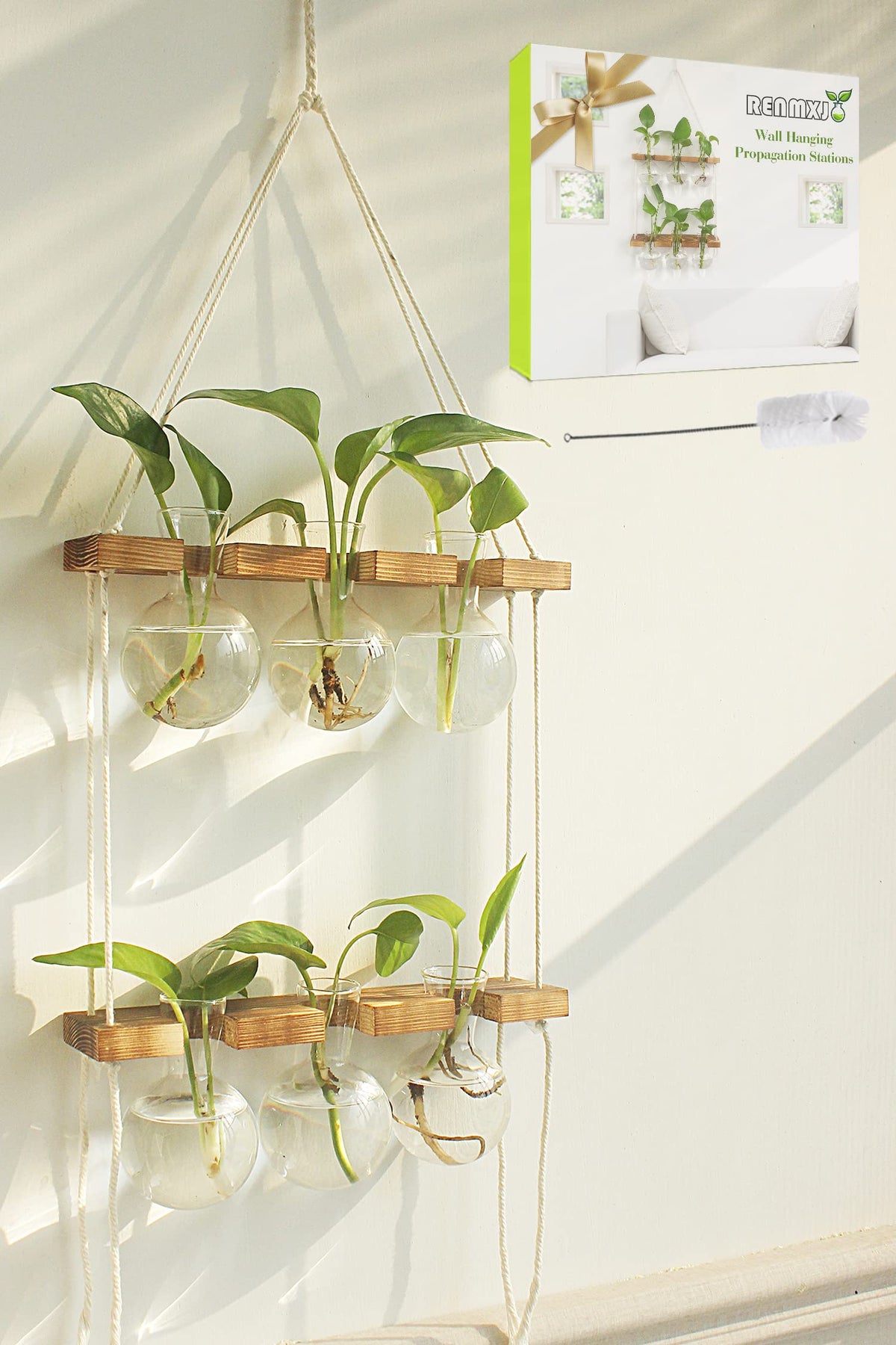 Renmxj propagation station wall hanging with six glass bulbs for easy rooting observation