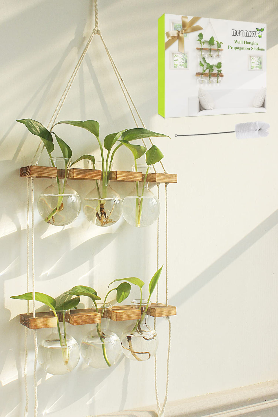 Renmxj propagation station wall hanging with six glass bulbs for easy rooting observation