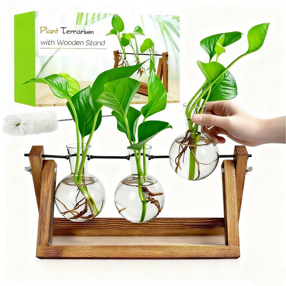 Renmxj propagation station wooden stand on a desk, showcasing organized plant propagation setup