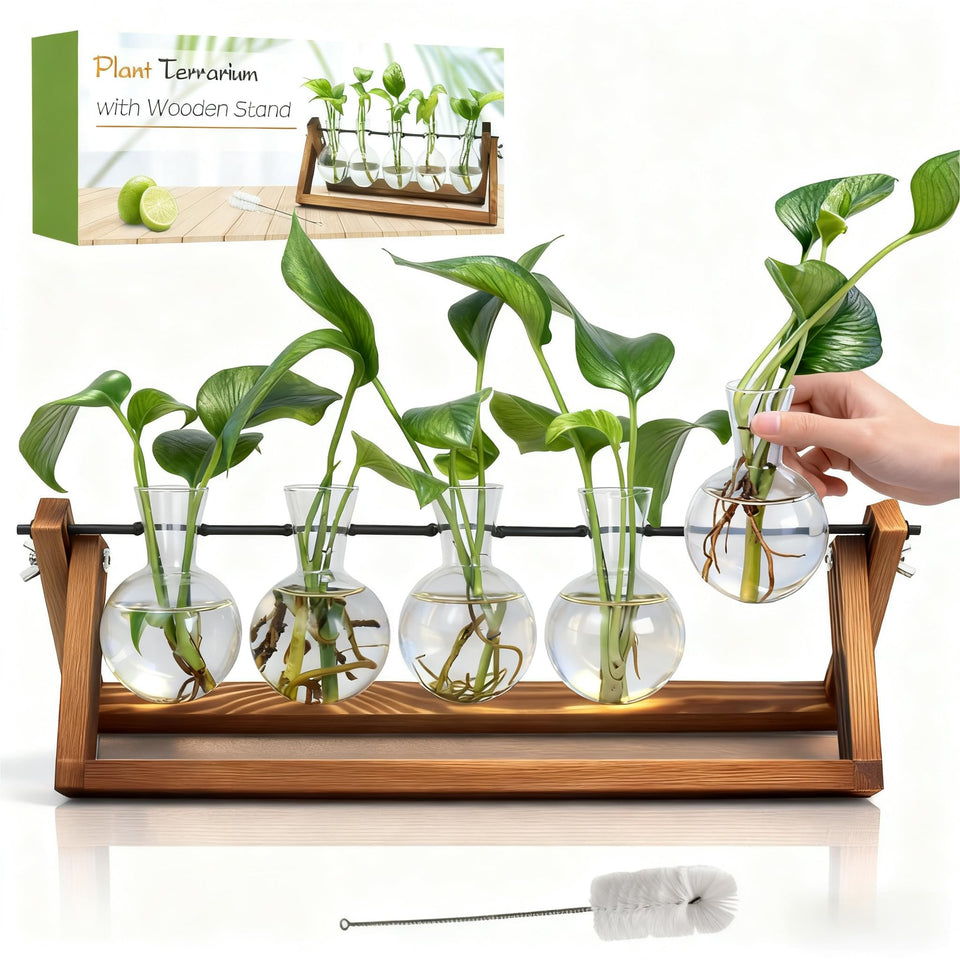 Renmxj Plant Propagation Station on a wooden stand adds stylish desk greenery.