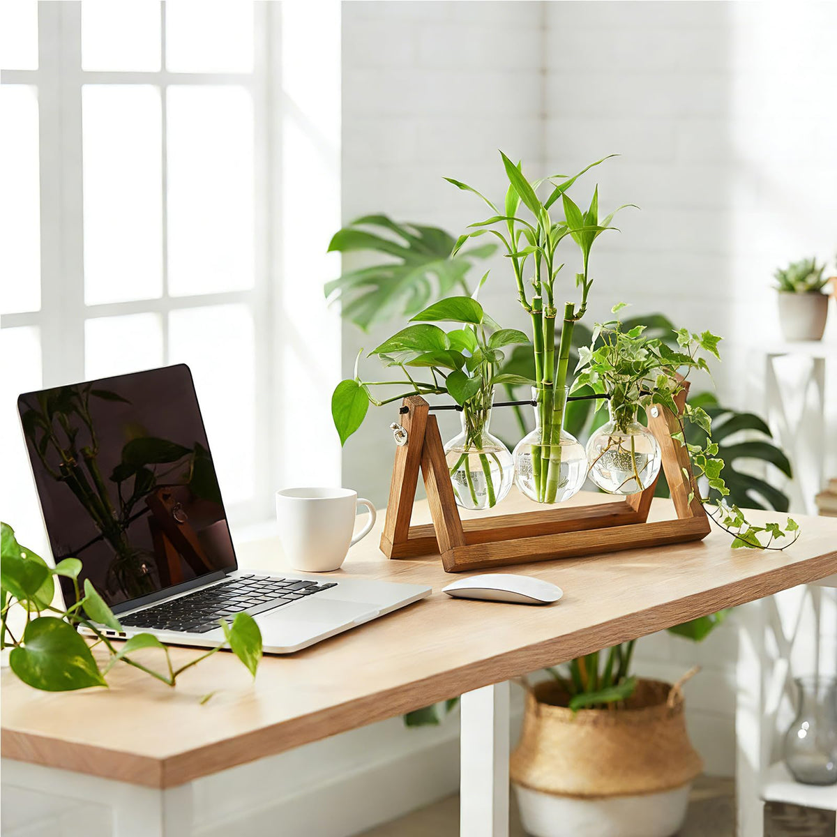 Renmxj window sill propagation setup blending with home decor