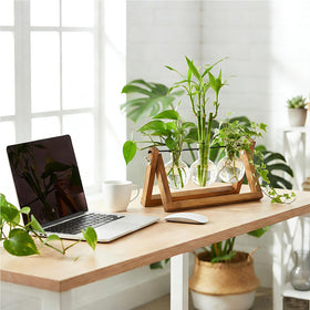 Renmxj window sill propagation setup blending with home decor