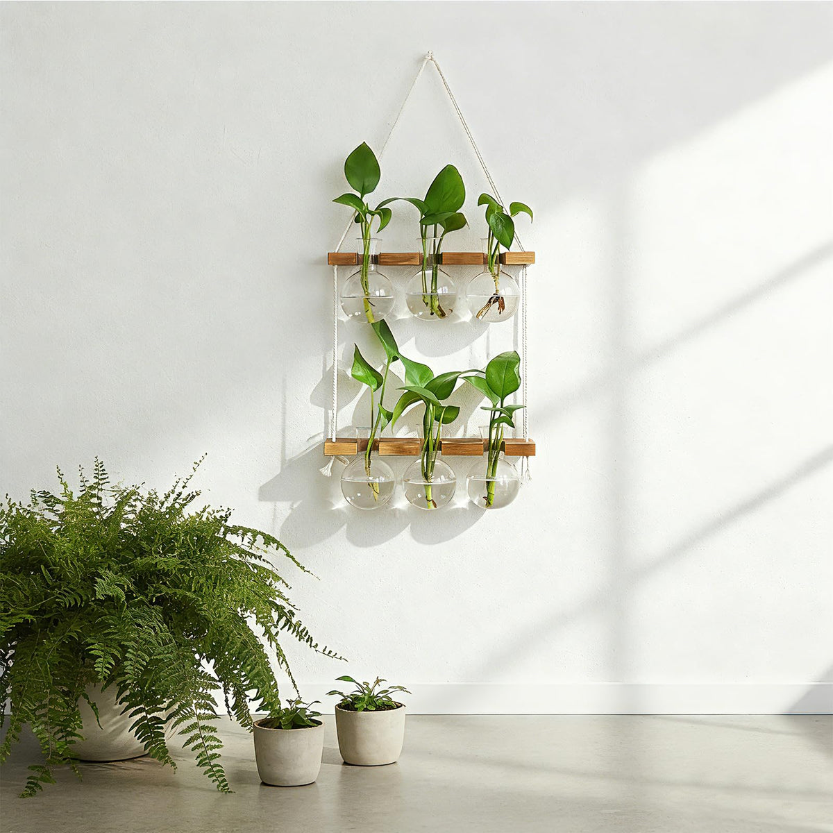 Renmxj sturdy wooden frame with premium glass for durable display