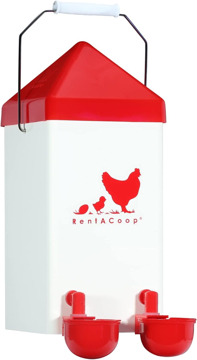 RentACoop 1-gallon waterer for busy coops, delivering steady hydration