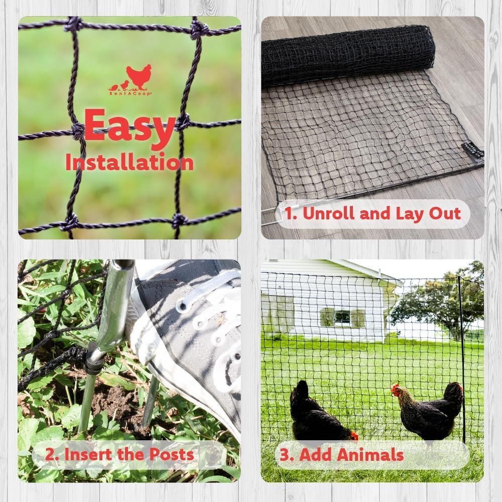 RentACoop 13mm double-spiked posts provide sturdy, long-lasting support.