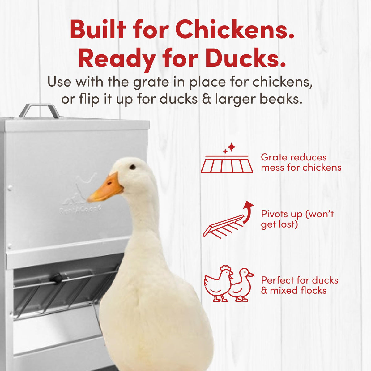 RentACoop 25lb capacity feeder suitable for medium flocks and steady feed supply.
