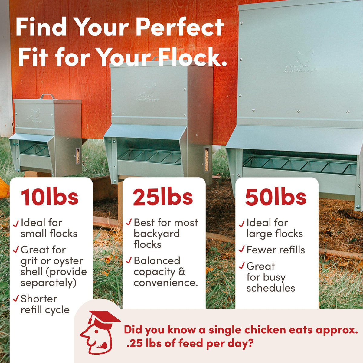 RentACoop adjustable grate enables easier cleaning and controlled feed access.