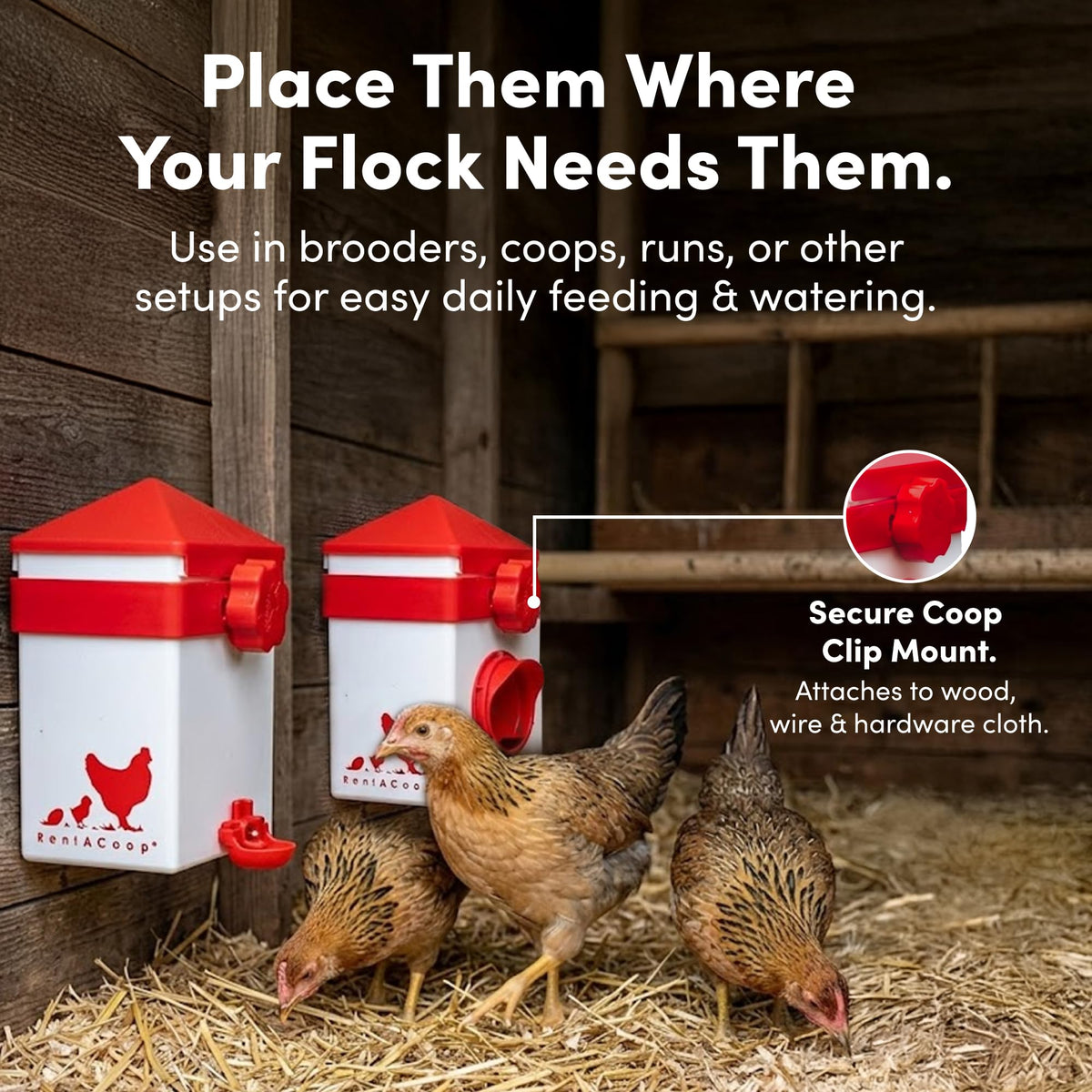 RentACoop all-in-one set enables quick, flexible coop setup.