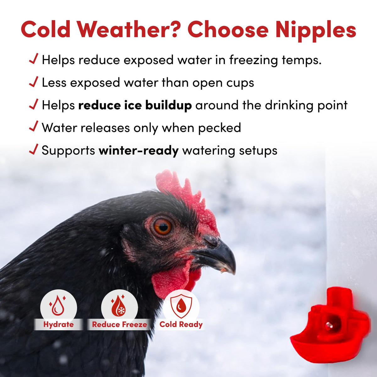 RentACoop anti-roost lid minimizes contamination during refills.