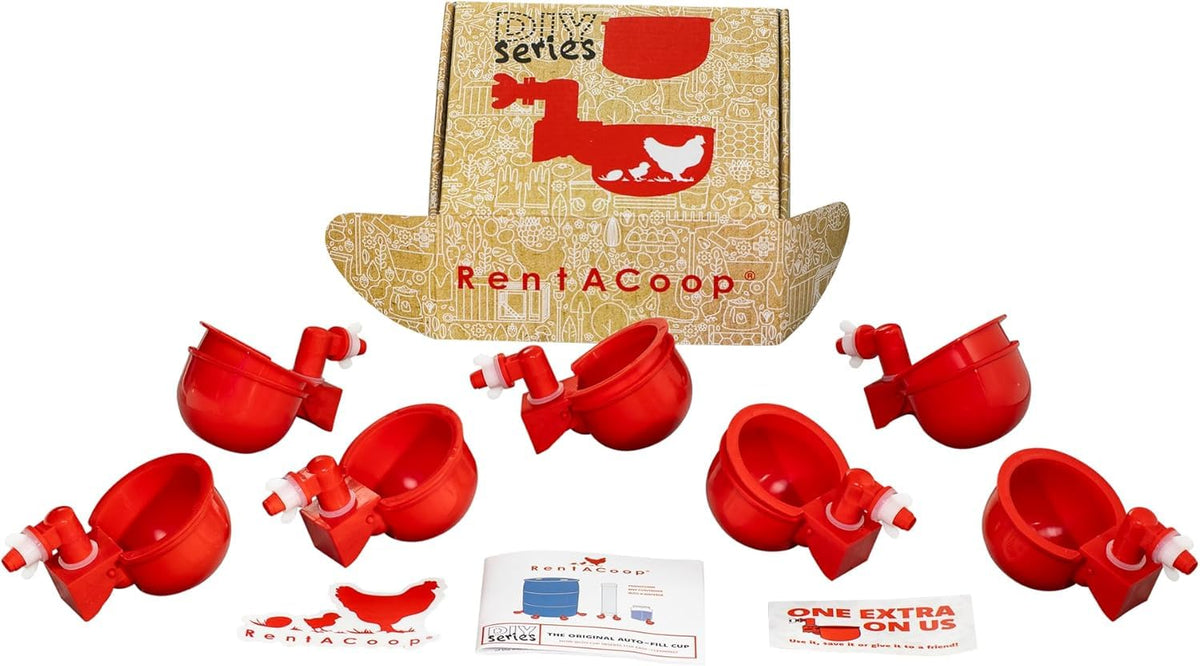 RentACoop auto-fill cups setup demonstrates quick, DIY poultry waterer installation.