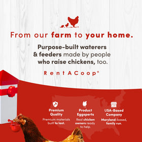 RentACoop bird waterer for small birds setup in coop.