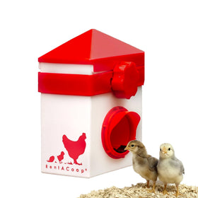 RentACoop Chick2Chicken feeder front view showing chick-safe access and minimal waste
