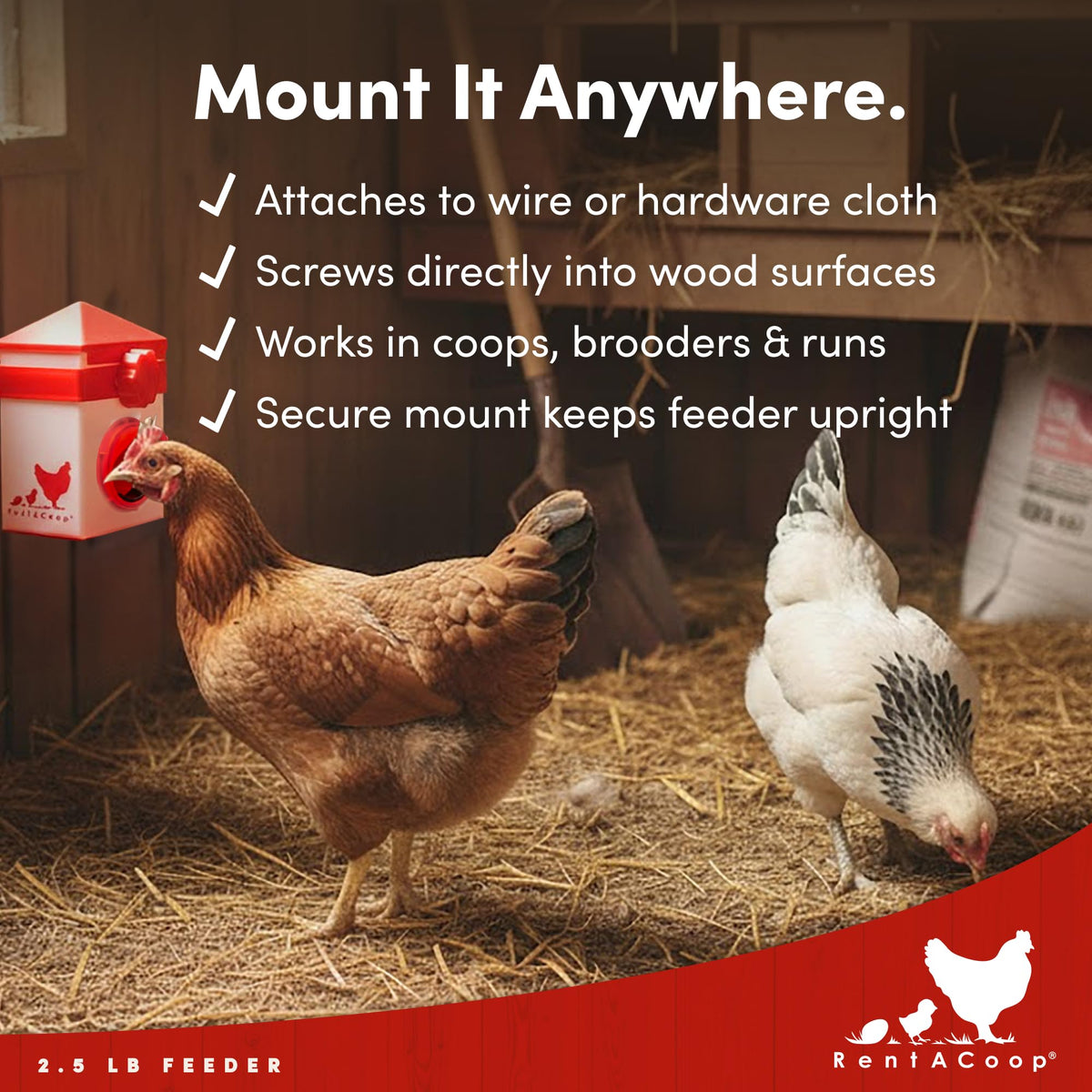 BPA-free plastic Chick2Chicken feeder shown inside a coop for durability