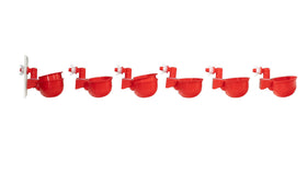 RentACoop chicken water cup in use delivers steady hydration for a flock.
