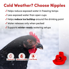 RentACoop Drinker Plus compact waterer suited for small birds