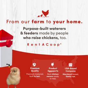 RentACoop Drinker Plus two nipple attachments included for versatility