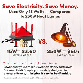 RentACoop energy-saving heat plate lowers electricity use.