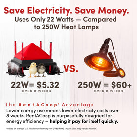 RentACoop energy saving heat plate uses minimal watts for longer sessions