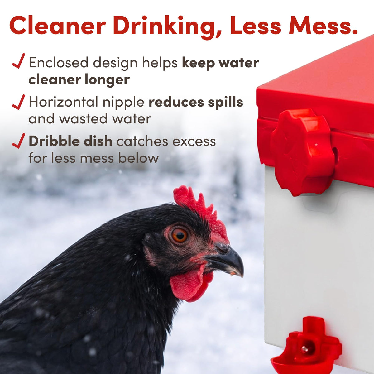 RentACoop feeder port cover protects feed from pests.