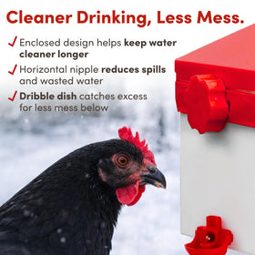 RentACoop feeder port cover protects feed from pests.