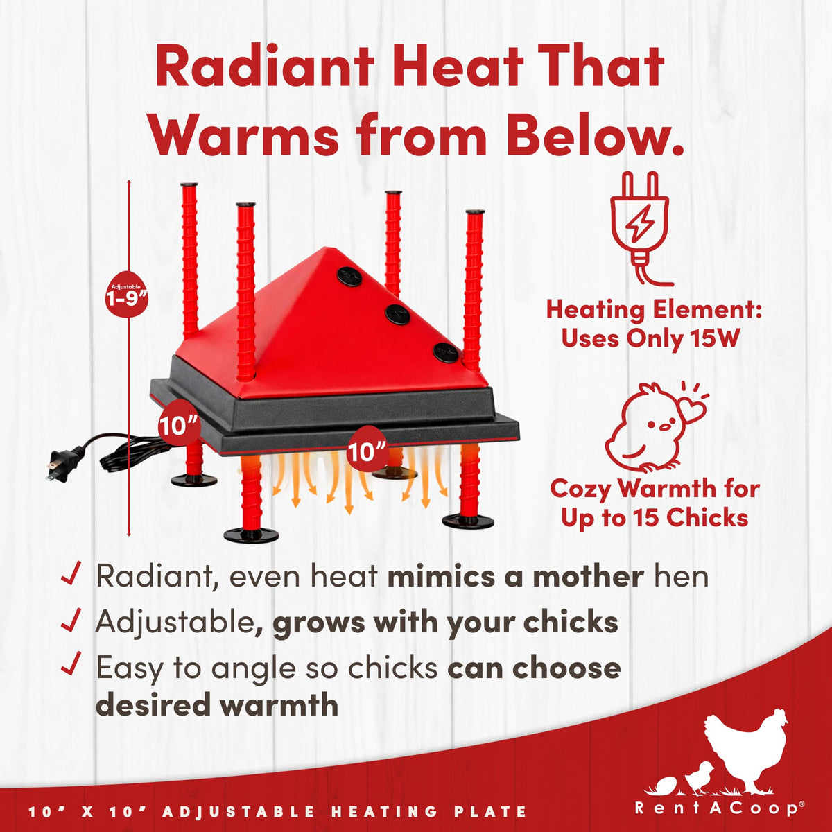 RentACoop foldable anti-roost cone keeps chicks off the plate.