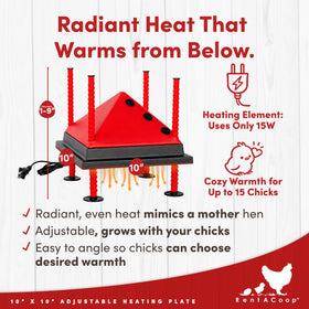 RentACoop foldable anti-roost cone keeps chicks off the plate.