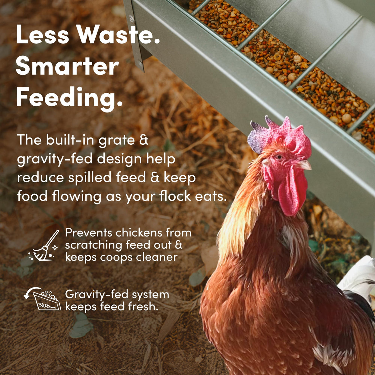 RentACoop galvanized steel construction built for durability in poultry settings.