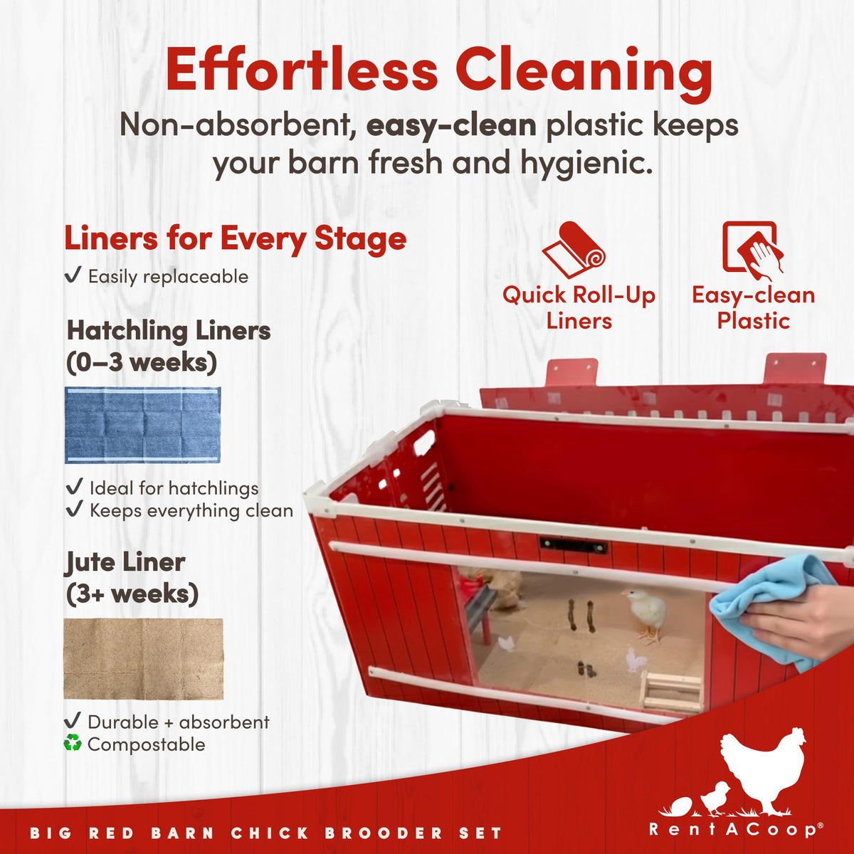 RentACoop Hatchling liners 0–3 weeks nurture early-stage comfort