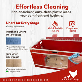 RentACoop Hatchling liners 0–3 weeks nurture early-stage comfort