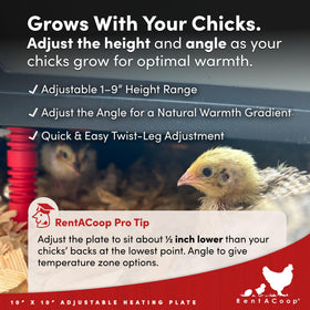 RentACoop 10x10 brooder fits compact indoor spaces.