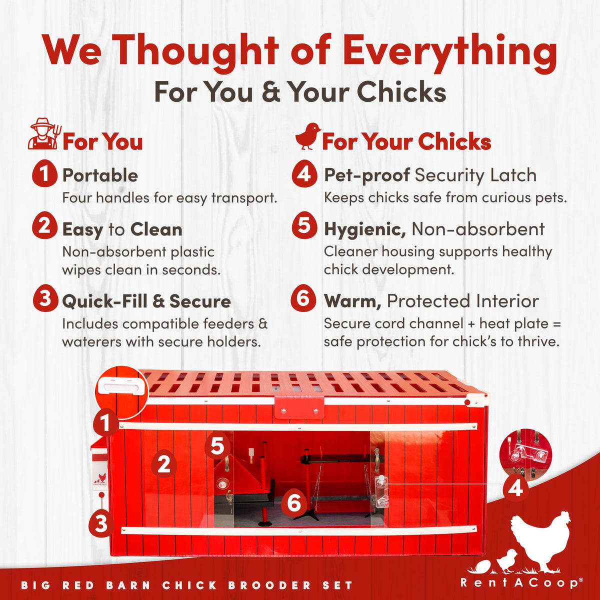 RentACoop 12x12 heating plate provides radiant warmth for chicks