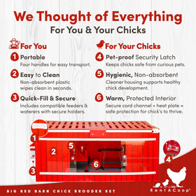 RentACoop 12x12 heating plate provides radiant warmth for chicks