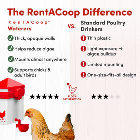 RentACoop horizontal nipple with dribble dish for clean water delivery.