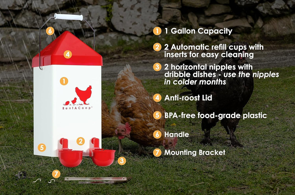 RentACoop horizontal nipples provide clean water with minimal waste