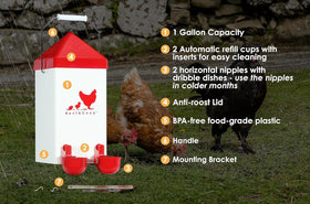 RentACoop horizontal nipples provide clean water with minimal waste