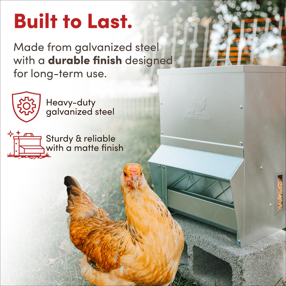 RentACoop indoor-outdoor setup demonstrates flexible placement for coop or yard.