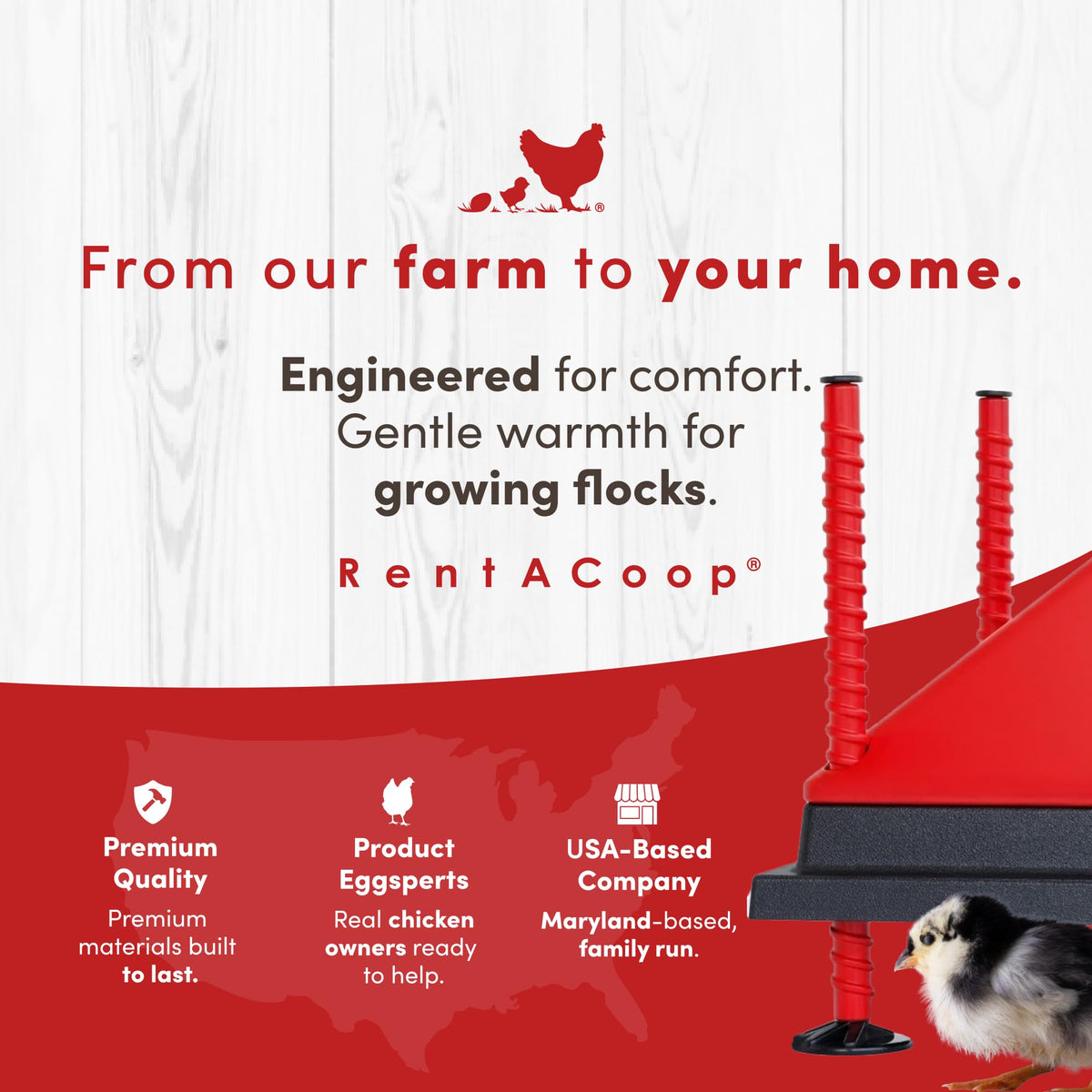 RentACoop heating plate suitable for chicks, poults, ducklings, and quail.