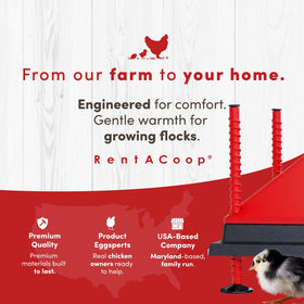 RentACoop heating plate suitable for chicks, poults, ducklings, and quail.