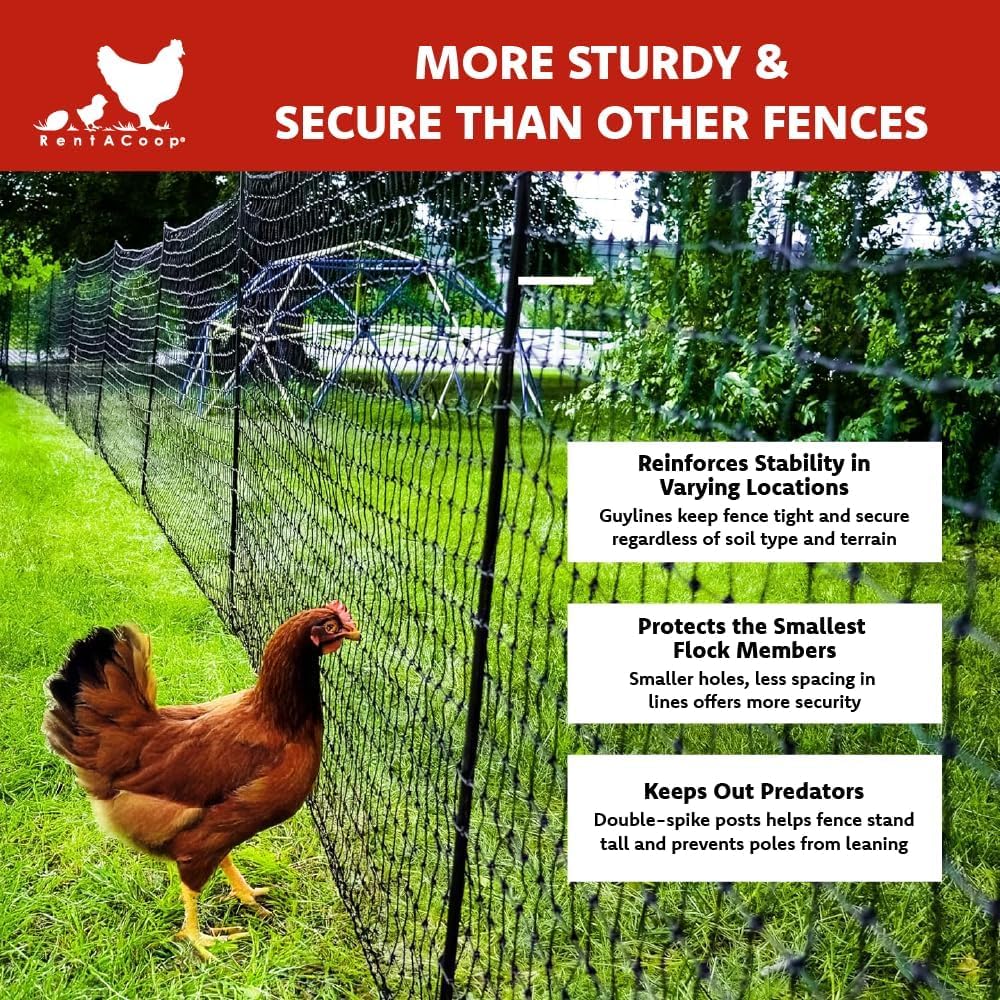 RentACoop pre-fastened posts speed up setup for quick, reliable enclosures.