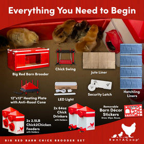RentACoop 64oz chick waterer delivers reliable hydration