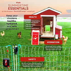 RentACoop waterer in coop demonstrates easy setup and use
