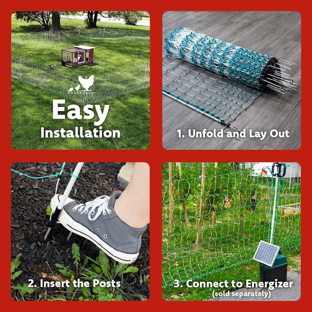 RentACoop weather-resistant design stands up to sun and rain