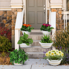 REPICLIFE garden tools set included, a complete gifting option.