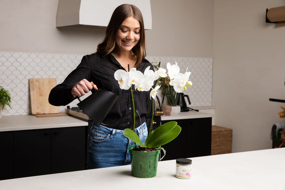 rePotme Feed ME! MSU orchid fertilizer dilution for water mixing