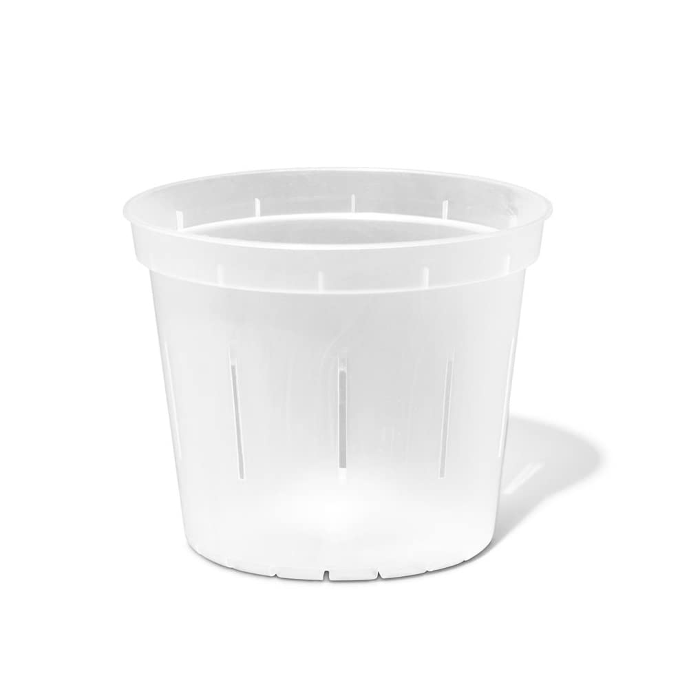 rePotme orchid pot 6-inch slotted crystal clear, front view for versatile indoor use.