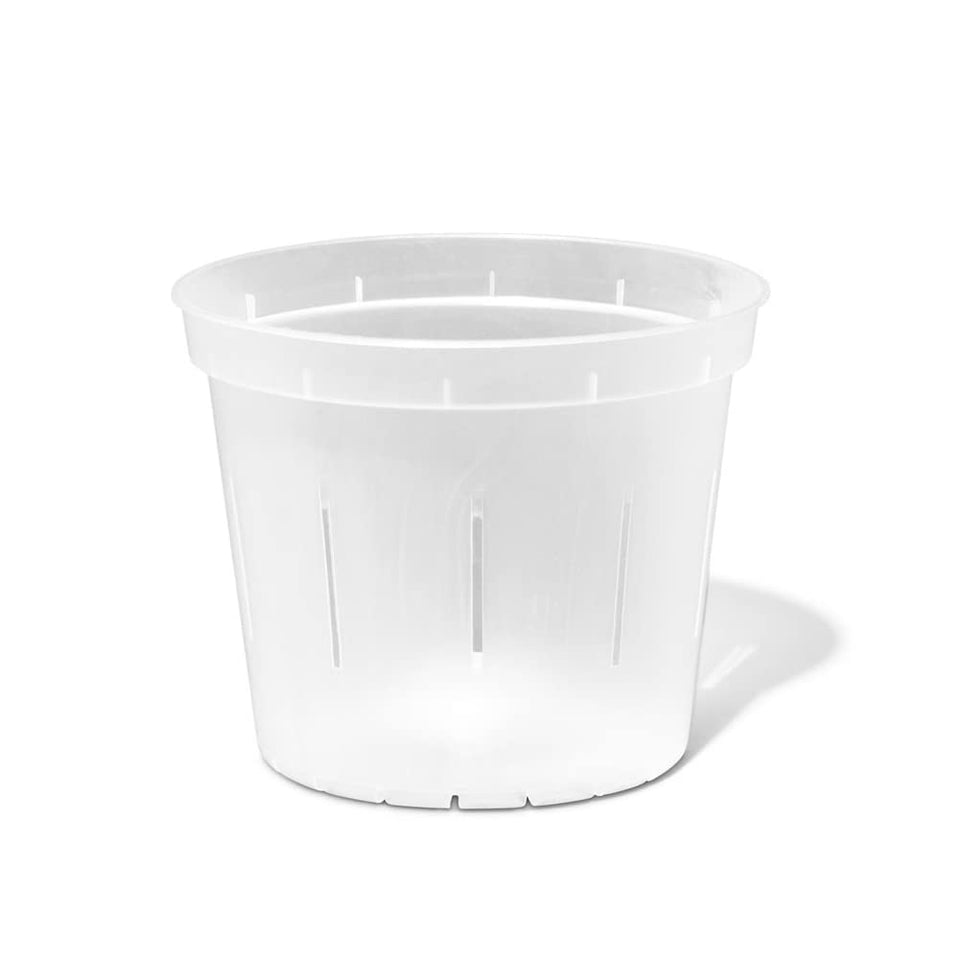 rePotme orchid pot 6-inch slotted crystal clear, front view for versatile indoor use.