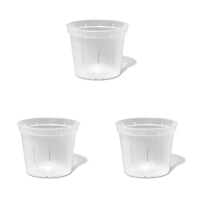 rePotme 6-inch slotted crystal-clear orchid pot, side view shows slot pattern for drainage.