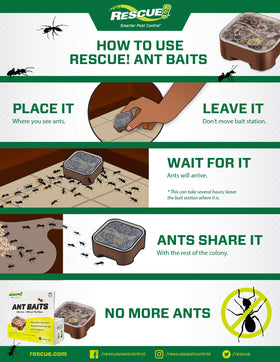 RESCUE! Ant Baits station-no-mess-activation shows spill-free setup.