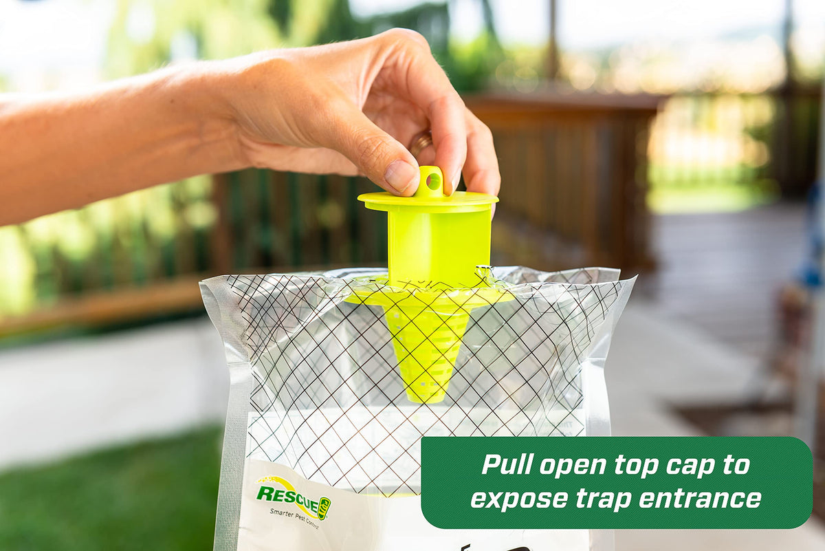 RESCUE! Big Bag Fly Trap entrance capture shows flies entering the trap to be contained